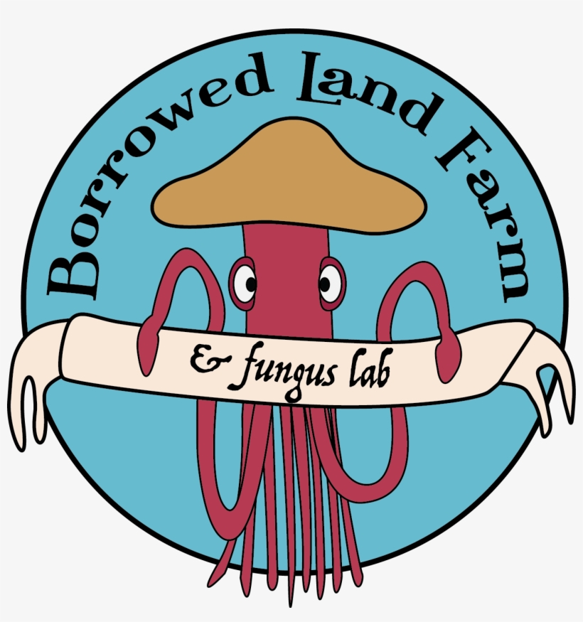 Pink Oyster Grain Spawn Borrowed Land Farm And Fungus - Pleurotus Djamor, transparent png download