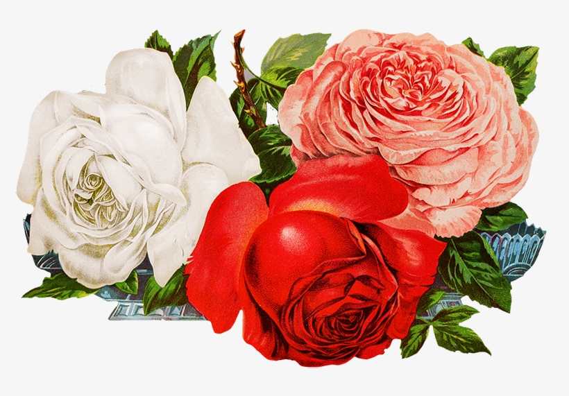 Roses For Scrapbooking Png - Flowers Roses Png, transparent png download