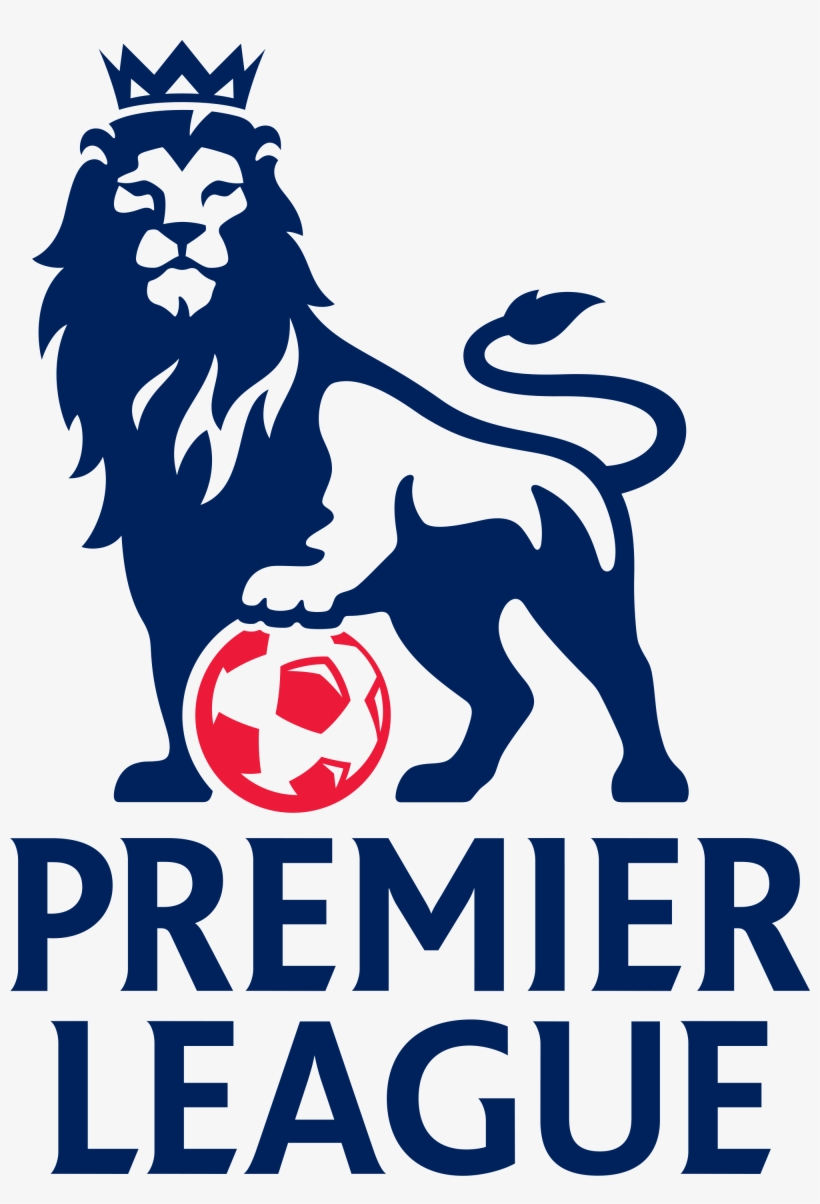 Rooney Manchester United Champions League - Barclays Premier League Png  Transparent PNG - 2000x2840 - Free Download on NicePNG, image size:820x1204