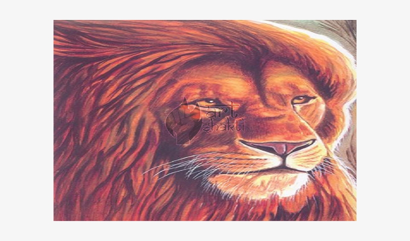 Lion Painting - Masai Lion, transparent png download