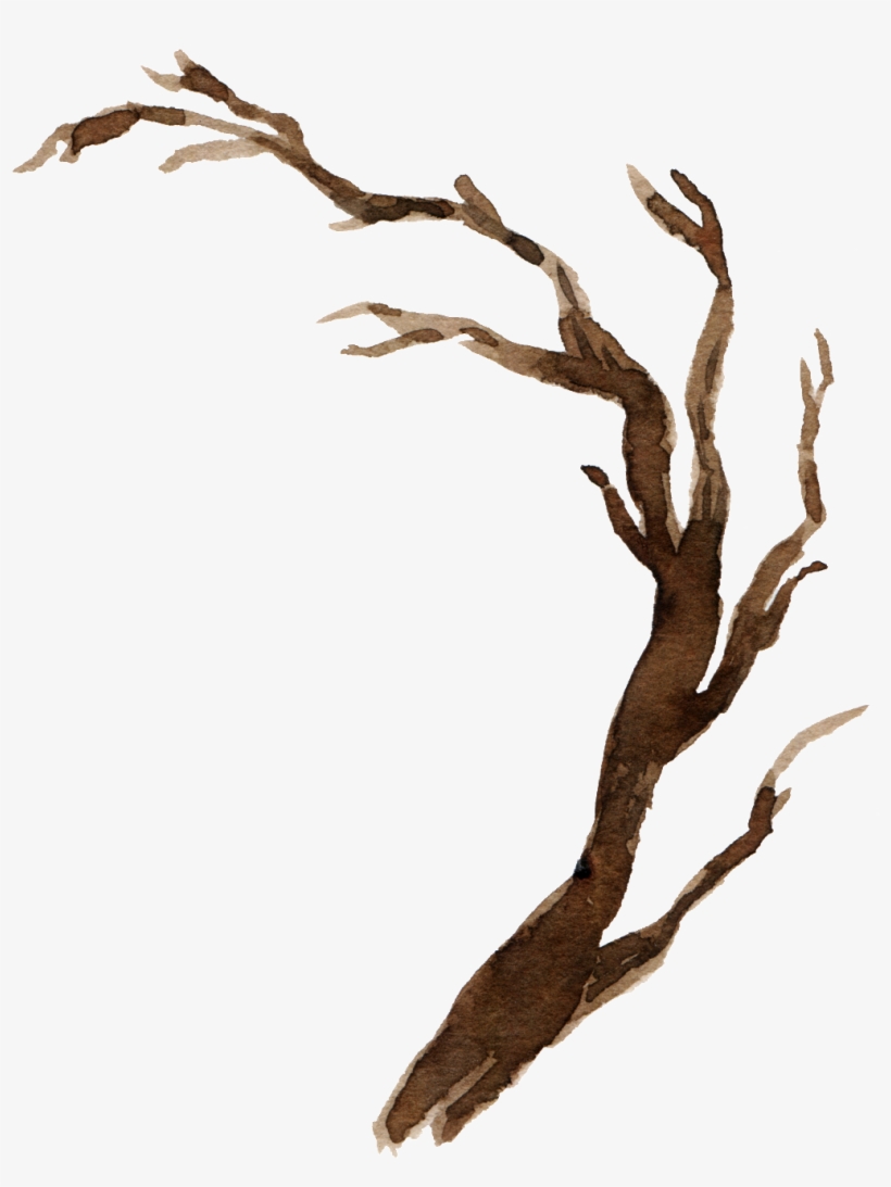 Watercolor Branch Material - 樹枝 素材, transparent png download