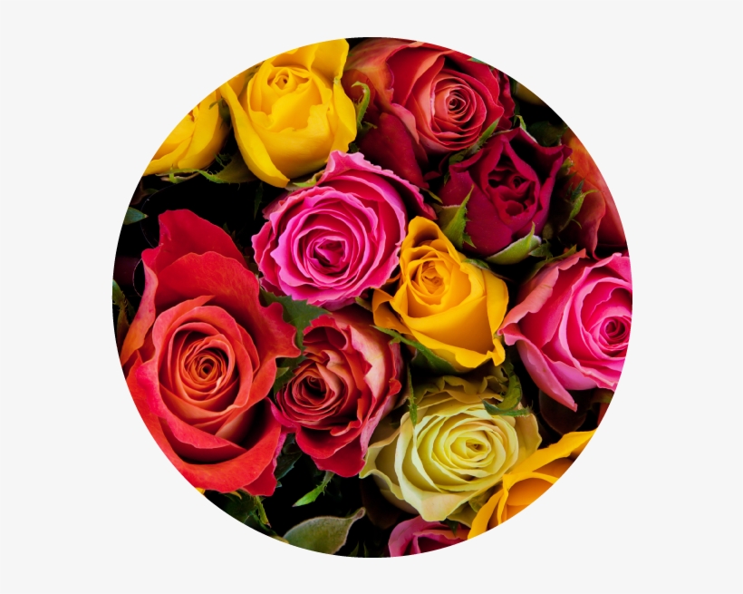 As A Basic Part Of Their Weekly Shopping Trip - Colombian Flower Exportation, transparent png download