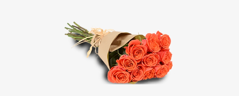 Orange Passion 1 Dozen - Garden Roses, transparent png download
