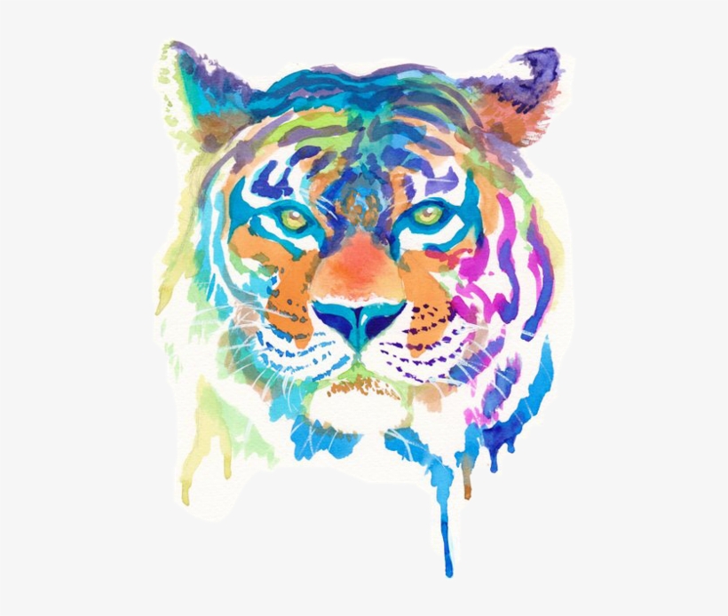 Things To Draw With Watercolour, transparent png download