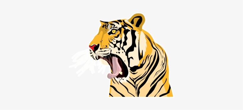 Tiger, transparent png download