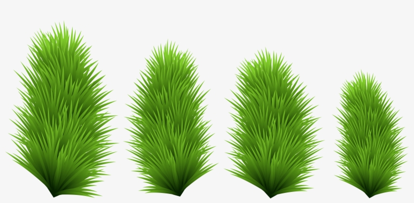 Tree Branches Png, transparent png download