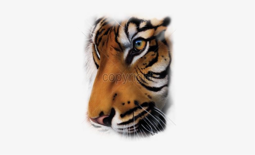 Deluxe Pics Of Animals To Draw Tiger Face Png - 79" X 96" Patriotic Tiger Faux Fur Luxury Throw Queen, transparent png download