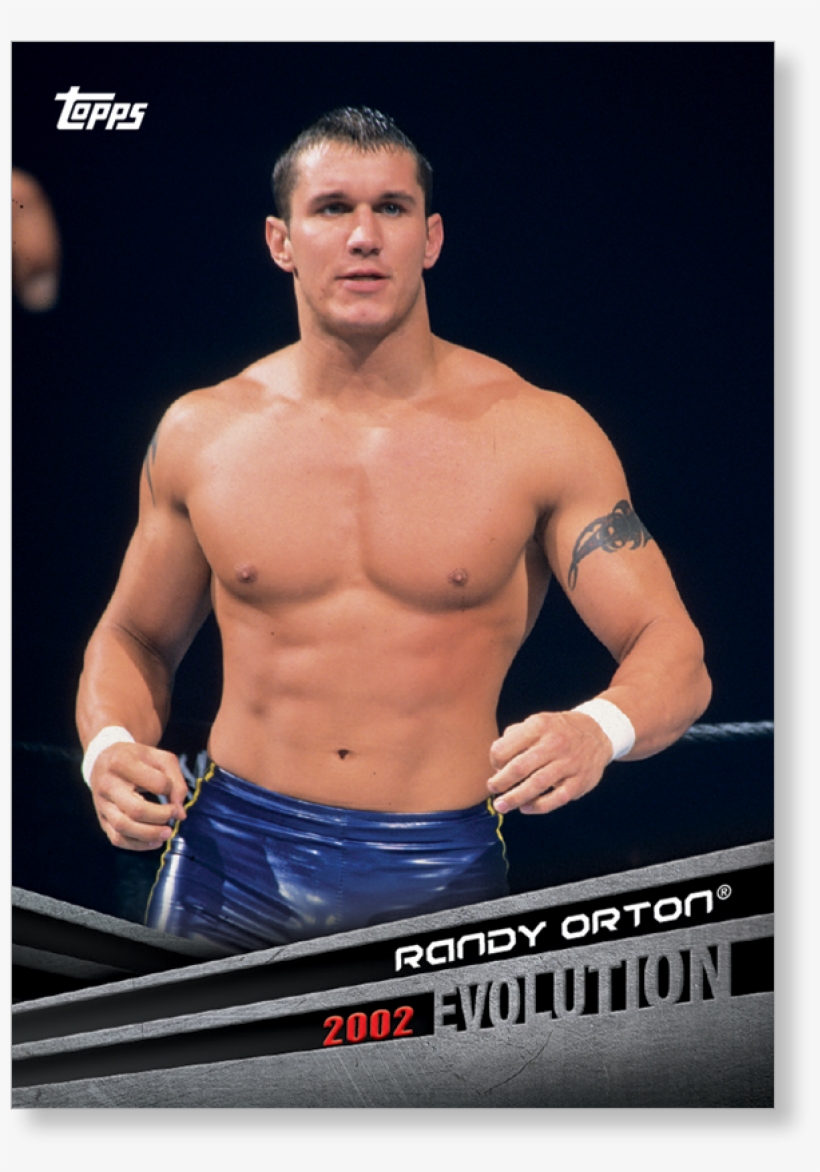 Randy Orton Png, transparent png download