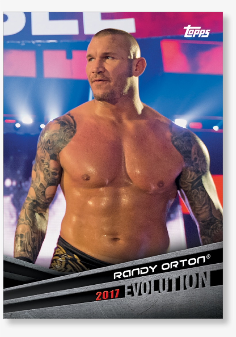 Randy Orton Png, transparent png download