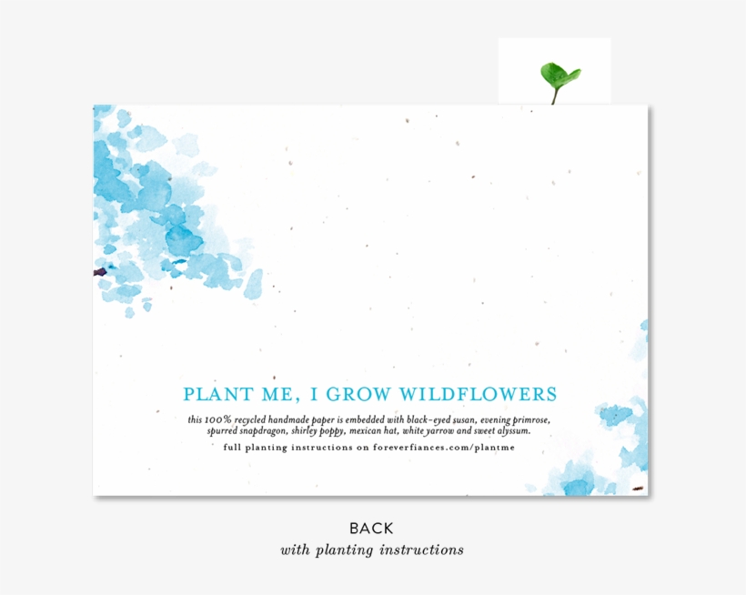 Watercolor Tree, transparent png download