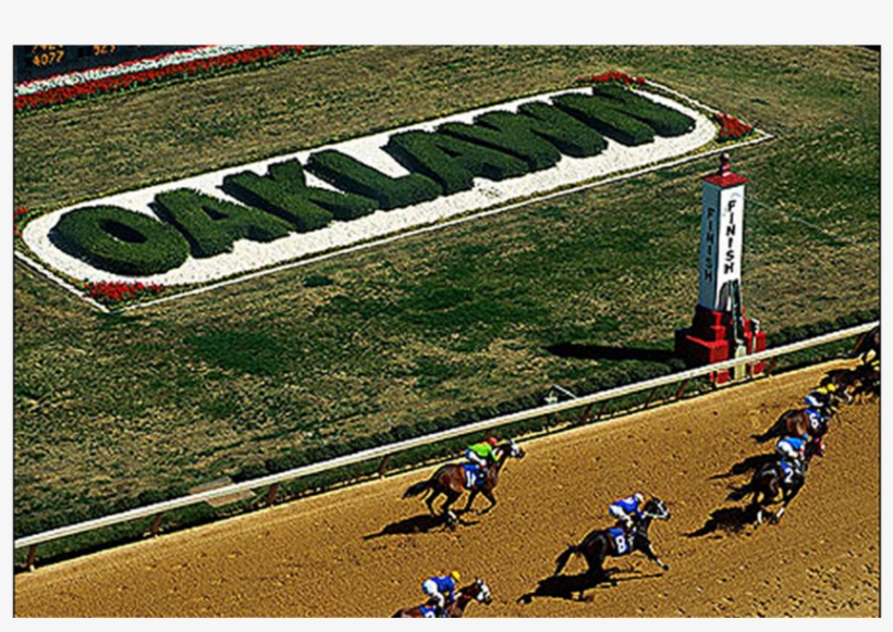 Oaklawn - Magnum Moon, transparent png download