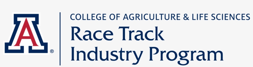 Race Track Industry Program - University Of Arizona, transparent png download