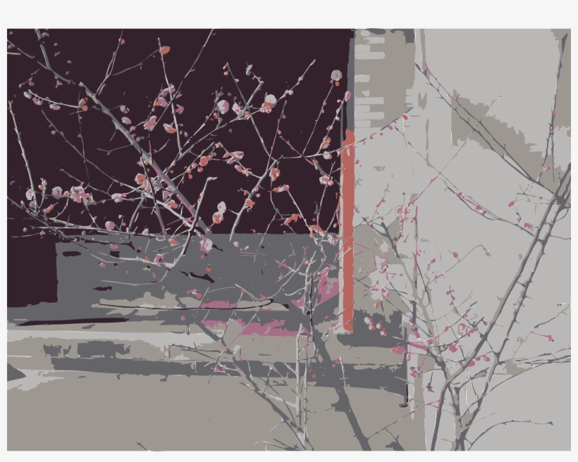 This Free Icons Png Design Of Cherry Blossoms, transparent png download