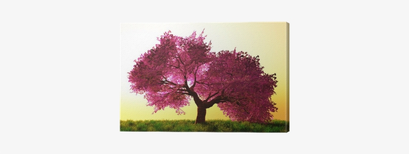 Mysterious Cherry Blossom Trees Canvas Print • Pixers® - Japanese Cherrie Blossom Tree, transparent png download