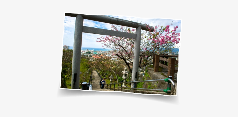 Okinawanago Park - Okinawa Prefecture, transparent png download