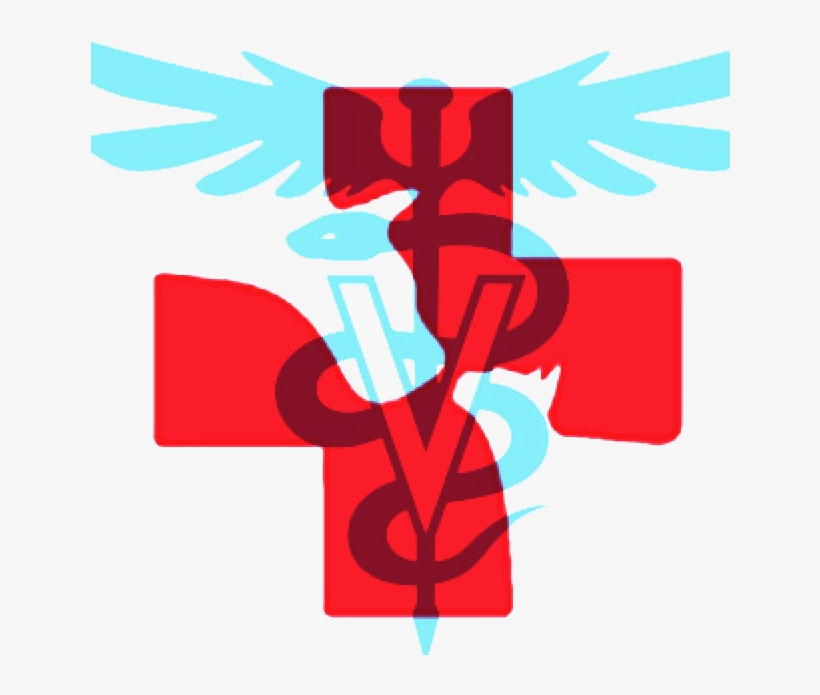 Doctor Symbol Clipart Hospital - Medico Veterinario Logo, transparent png download