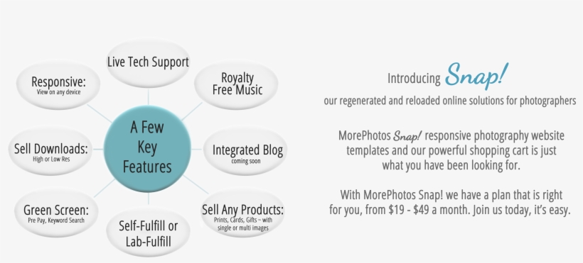 Https - Circle, transparent png download