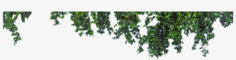 Puebla De Alcocer, transparent png download