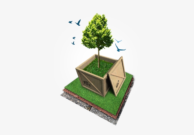 Tree Protection - Foreign Operation Methods: Theory, Analysis, Strategy, transparent png download