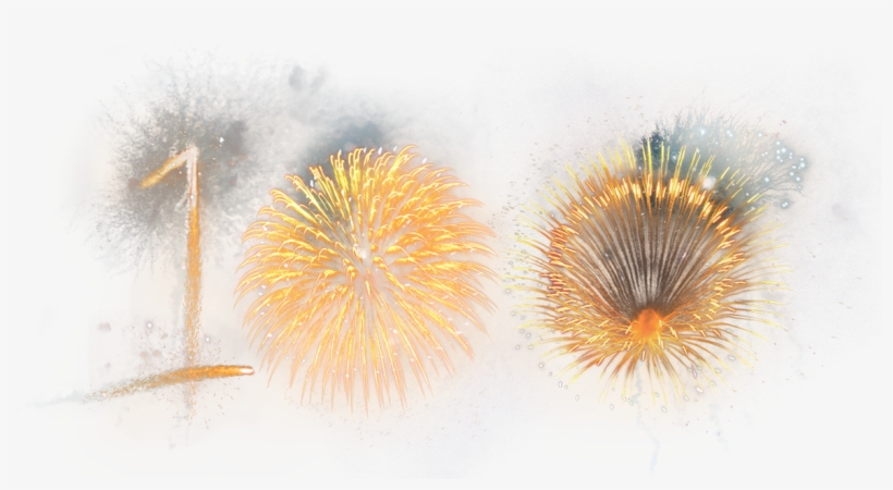 The 100 Year Evolution Of Navy Pier Tells The Story - New Year Images In Png, transparent png download