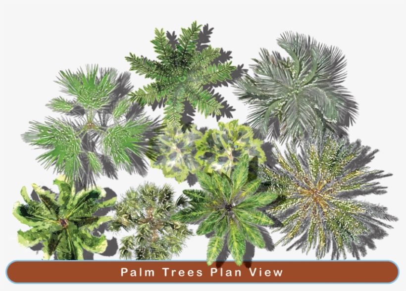 Super Landscaping Plan Software - Landscape Top View Png, transparent png download