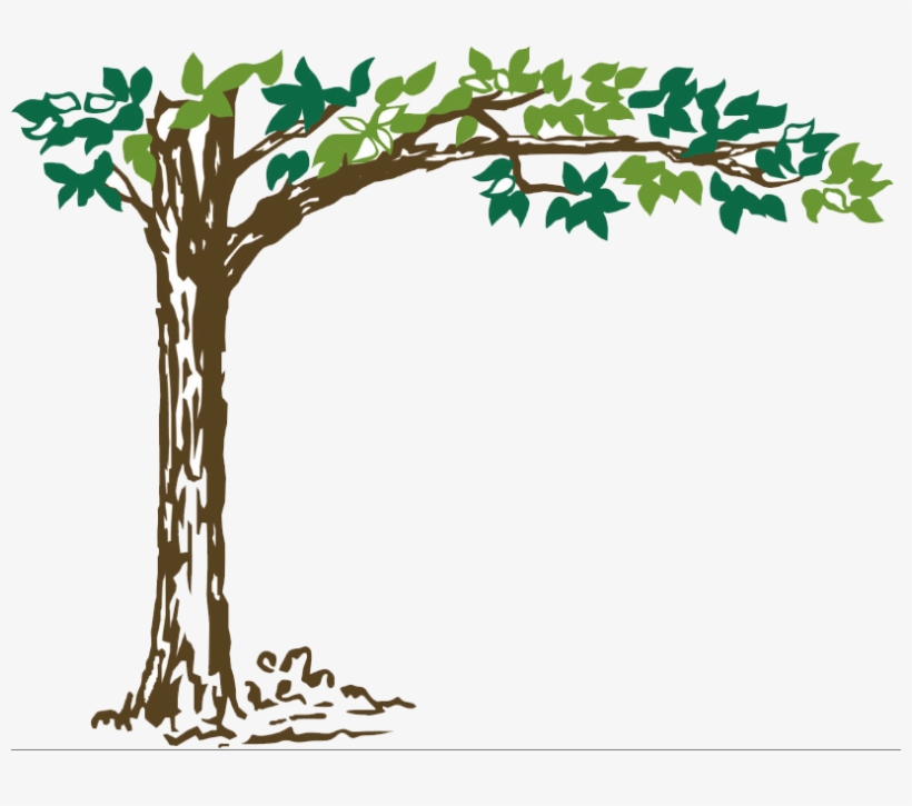 Trees In Plan Png, transparent png download