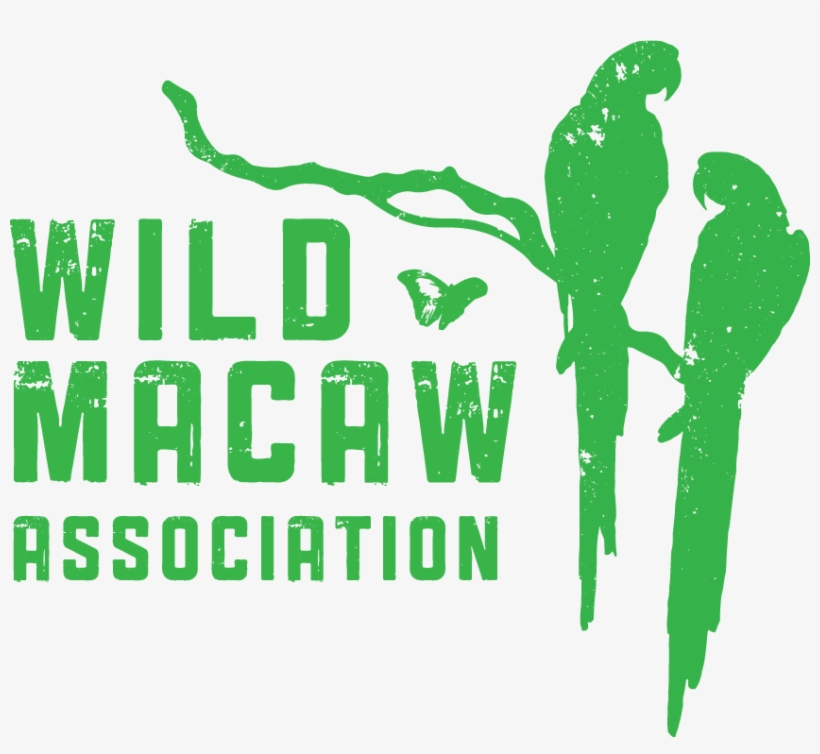 Wild Macaw Association Wild Macaw Association - Macaw, transparent png download