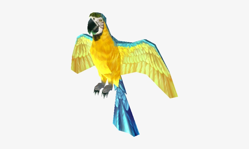 Download Zip Archive - Macaw, transparent png download