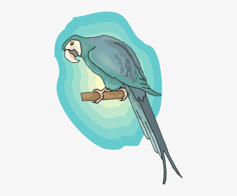 Perched Macaw Svg Clip Arts 444 X 600 Px, transparent png download