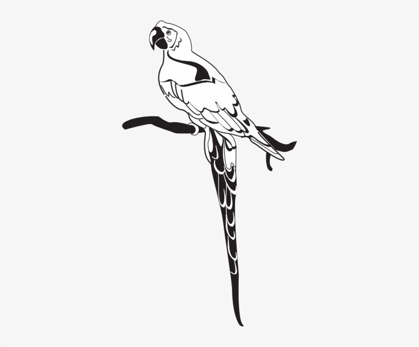 Parrot On Branch, transparent png download
