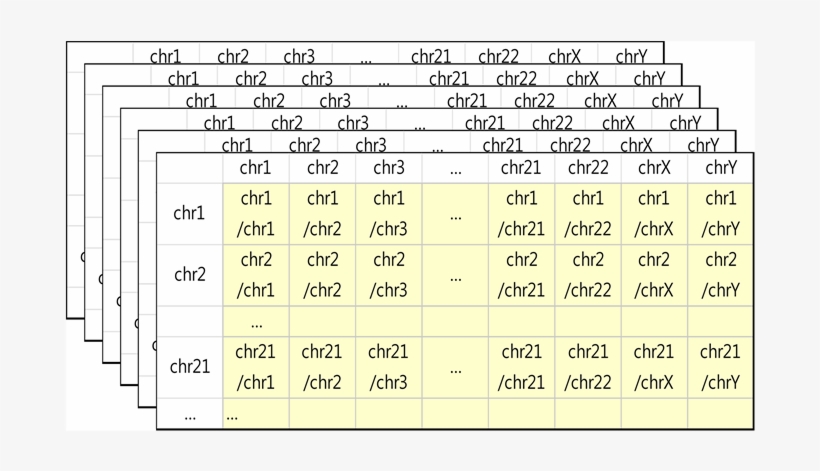 Normalization Between Chromosomes - Number, transparent png download