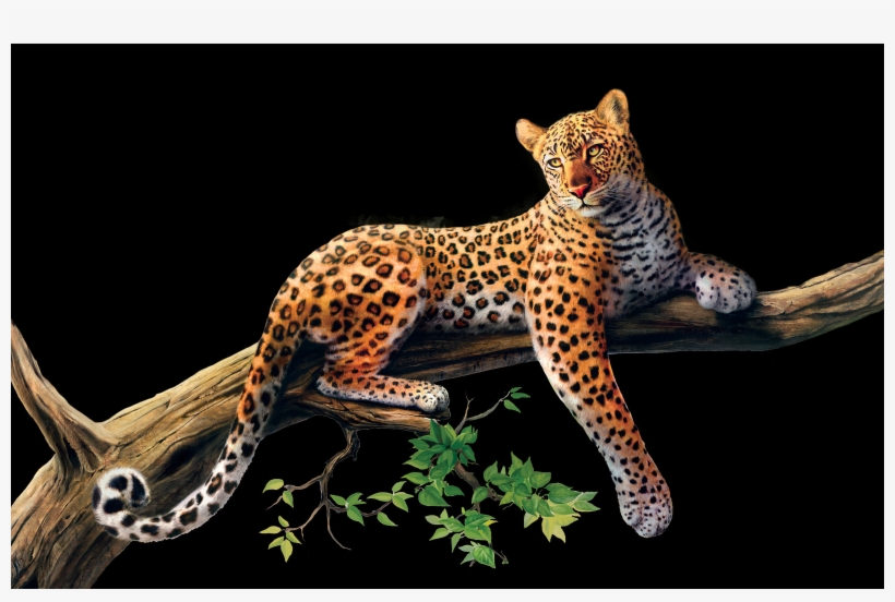 Complete Animal Free Png Collection, Free Pngs Has - Jynxos Wooden Framed Paint By Number Animals Canvas, transparent png download