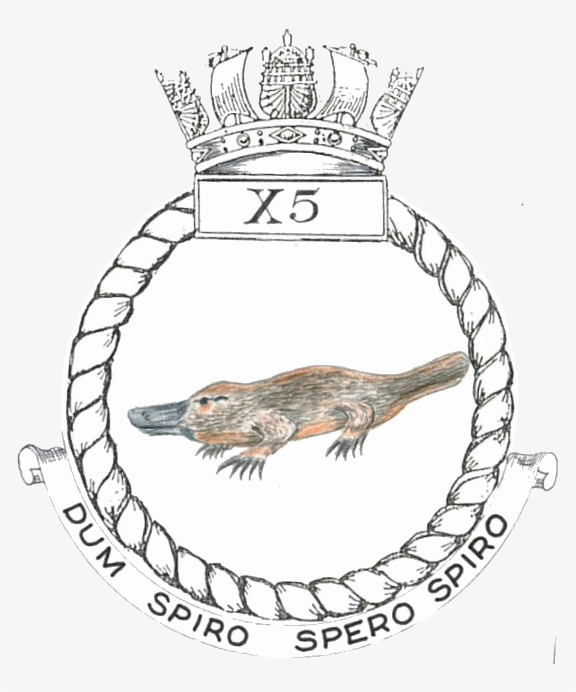 Unofficial - Rat, transparent png download