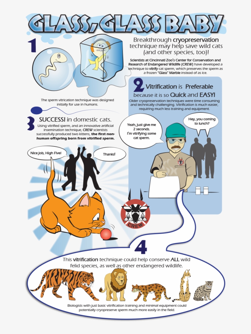 Glass Glass Baby - Cincinnati Zoo Crew, transparent png download