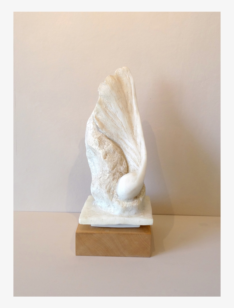 'winged Seed' Marble Resign On A Limed Sycamore Plinth - Sculpture, transparent png download