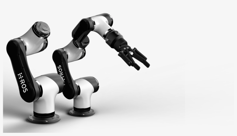 Training, transparent png download