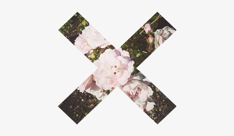 105-090ddeb7 - Portable Network Graphics, transparent png download