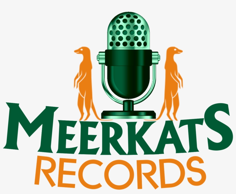 Meerkats Records Music Company In Limpopo, Pretoria, - Winwin Products Wireless Mini Earbuds, Winwin Bluetooth, transparent png download