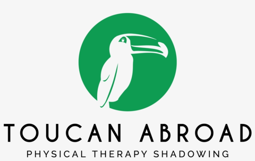 Toucan Png, transparent png download