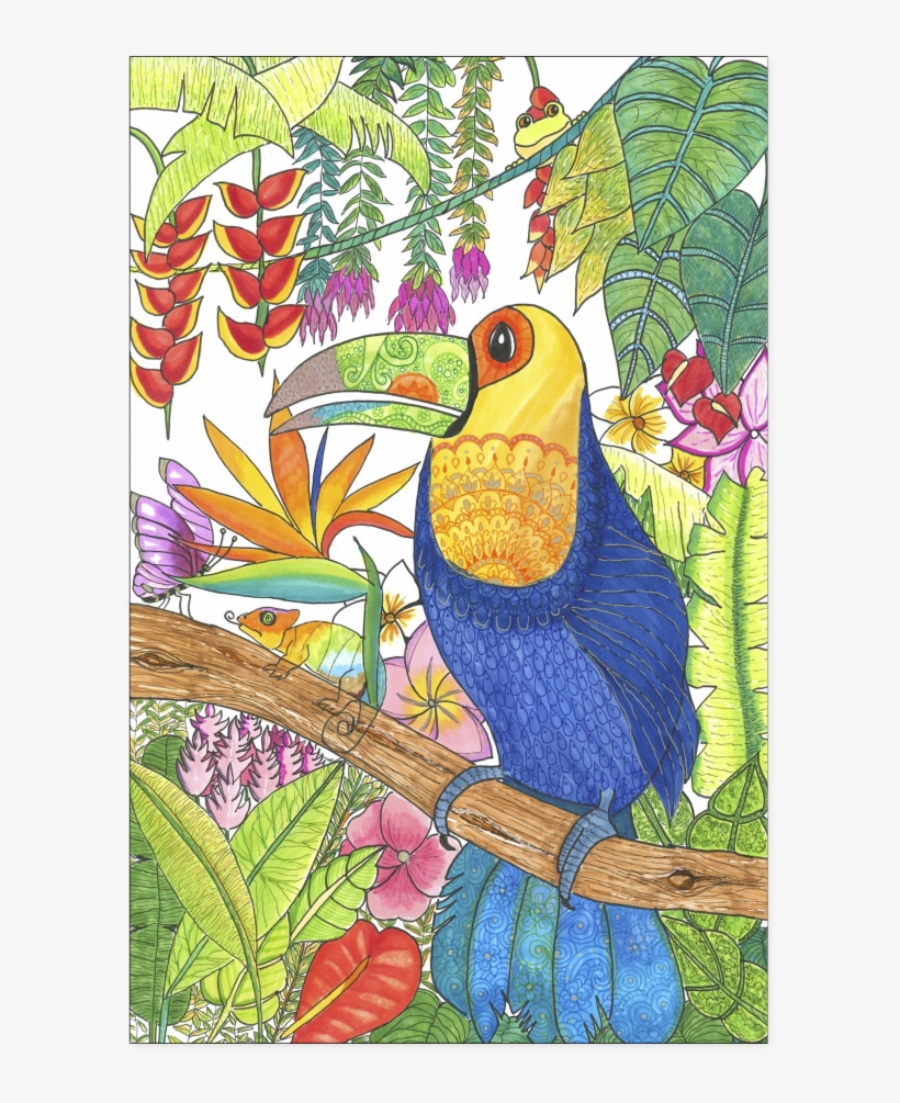 Tropical Toucan - Poster - Art, transparent png download