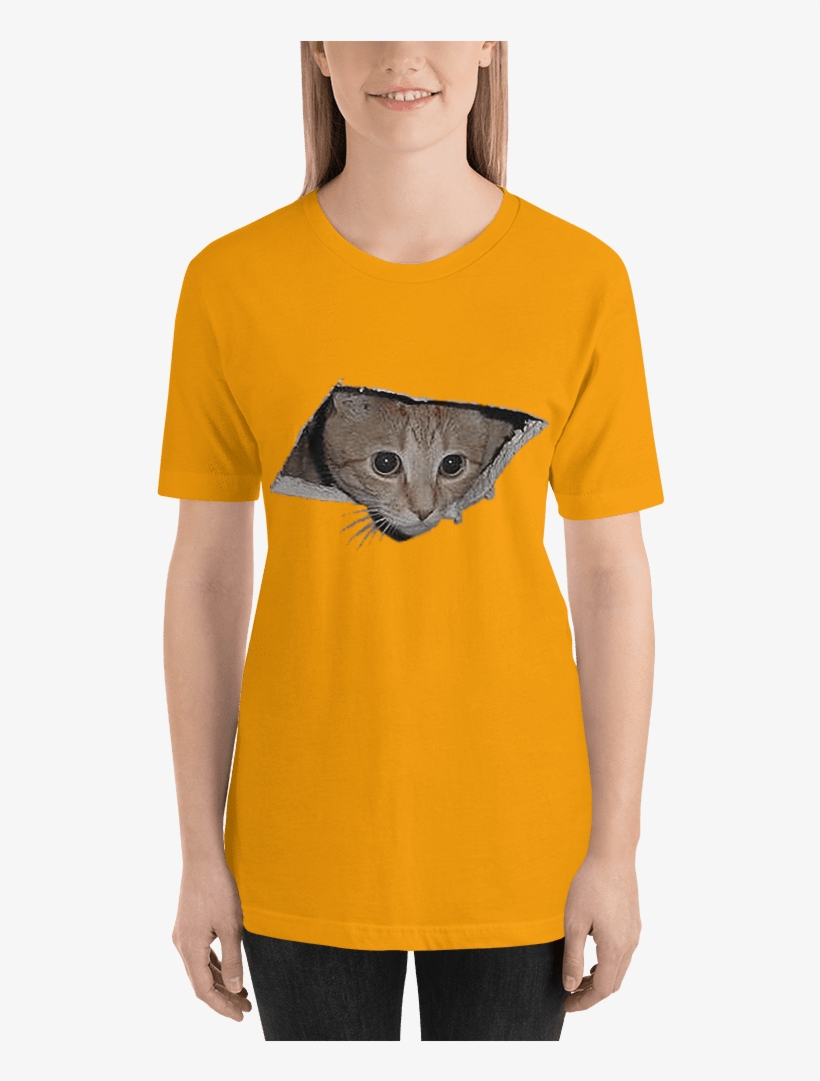 Shopping Peeping Cat Gold / 3xl - Ceiling Cat Is Watching You! Magnet, transparent png download