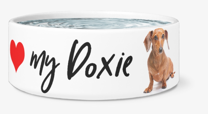 Large Dog Bowl, Love My Doxie Designer Dog Bowls - Dog, transparent png download