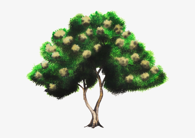 Green, transparent png download