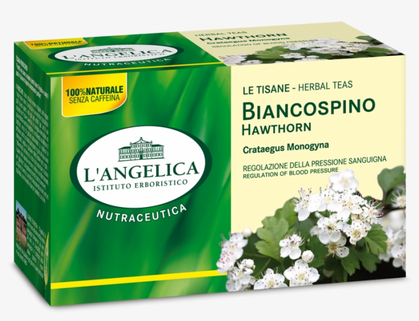 Tisana Caffe Verde Angelica, transparent png download