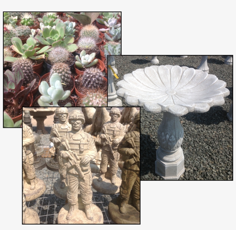 June-pictures - Maple Leaf Farms - Manalapan, transparent png download