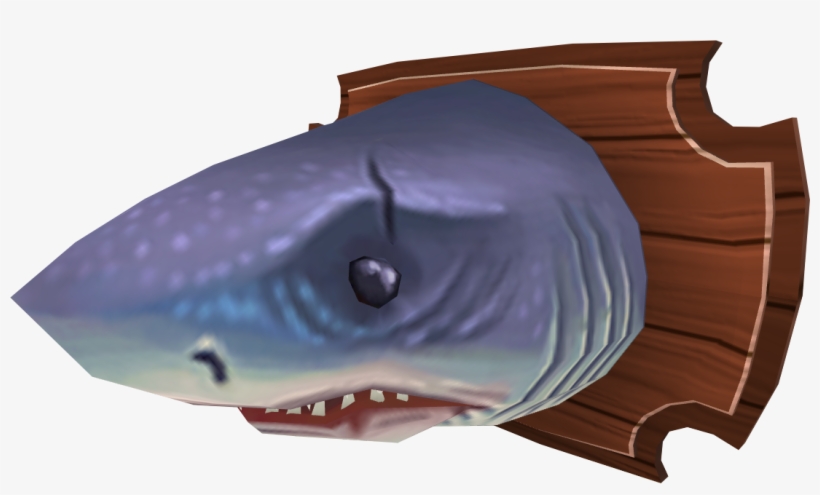 Mounted Great White Shark - Wiki, transparent png download