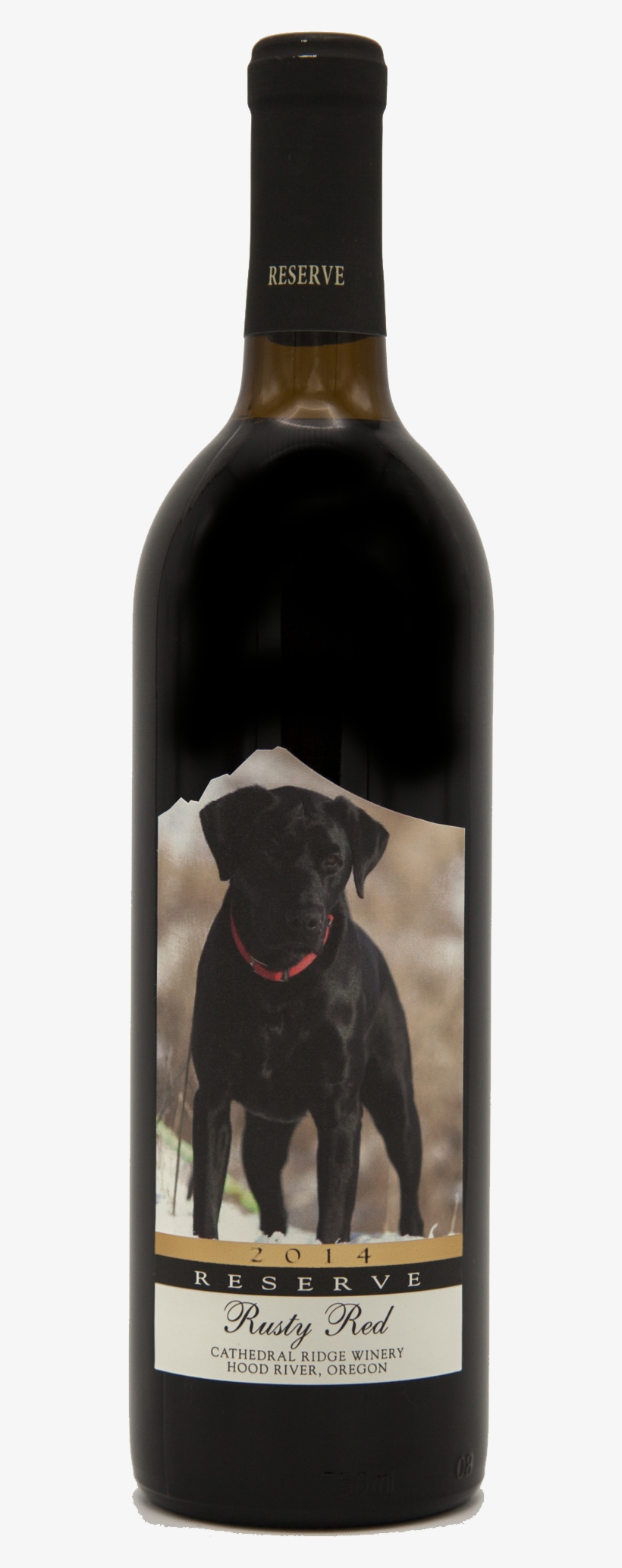 Black Lab, transparent png download