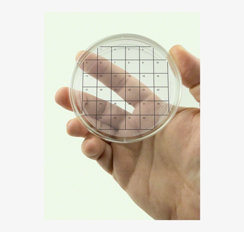 Petri Dish Stickers - Fungi Perfecti Llc, transparent png download