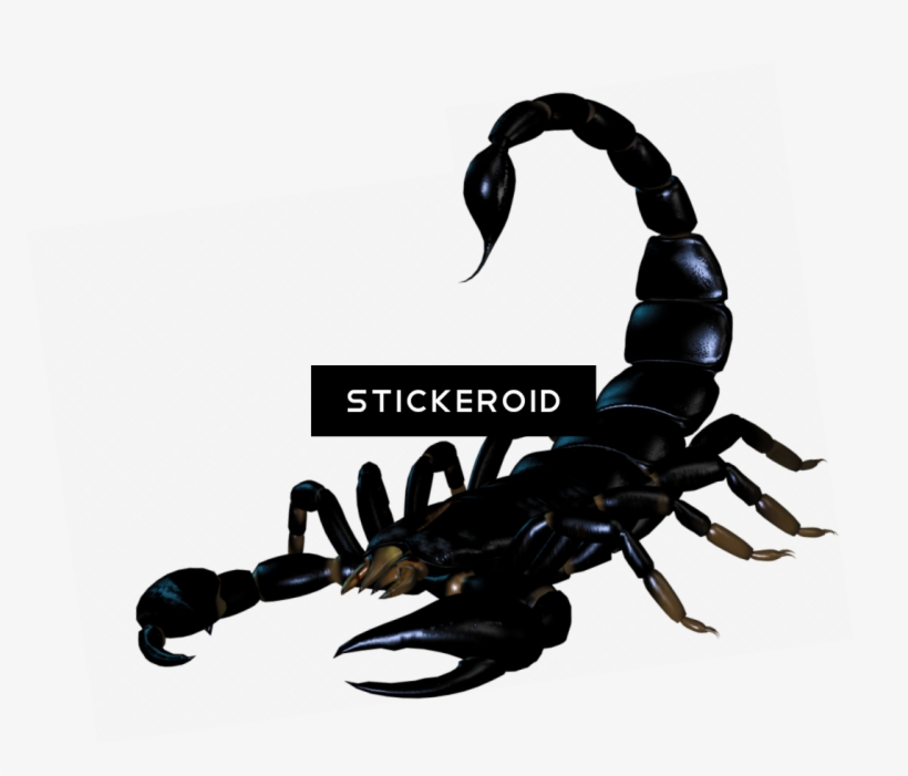 Scorpion Tattoo Silhouette Insects Scorpions - Imagenes Con Formato Bmp, transparent png download