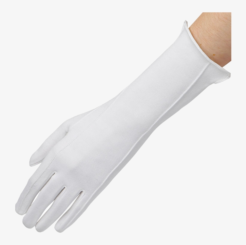 Races Cotton, transparent png download